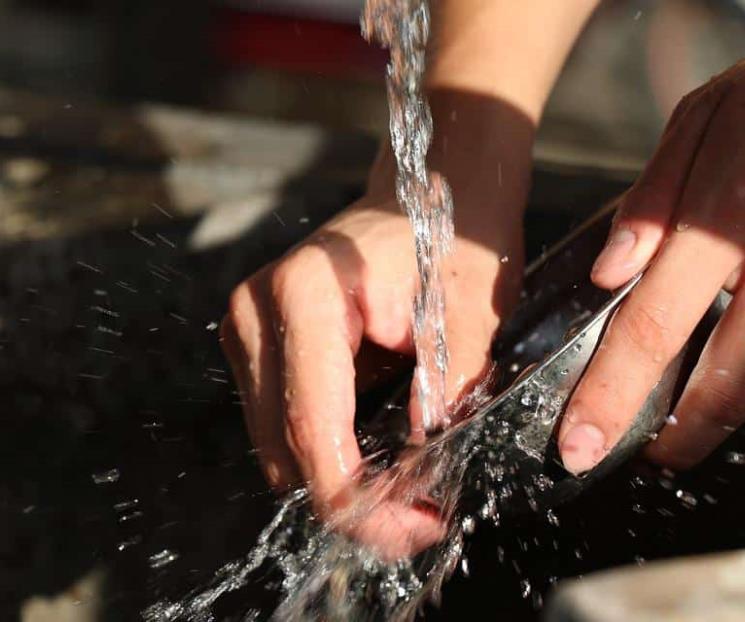 Conoce por qué no debes mezclar jabón de trastes con cloro