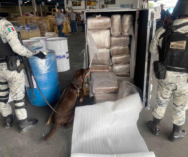 Aseguran 200 kilos de droga