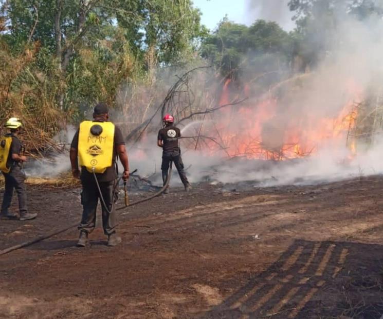Incendio provoca movilización en Allende