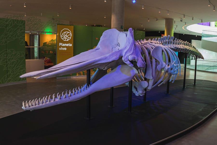 Pabellón Nacional de la Biodiversidad Pabellón Nacional de la Biodiversidad