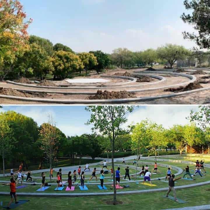 Apuestan en San Pedro a la reforestación urbana