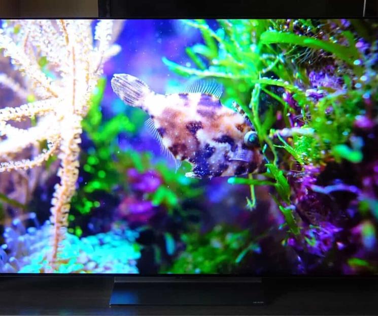 El LG C2 llega con el panel OLED evo