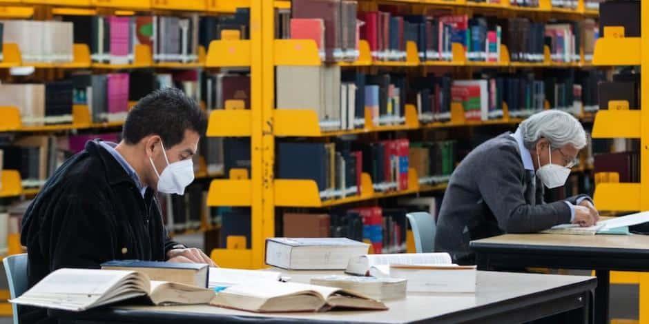Ley de Bibliotecas debe sujetarse a Ley de Derecho de Autor