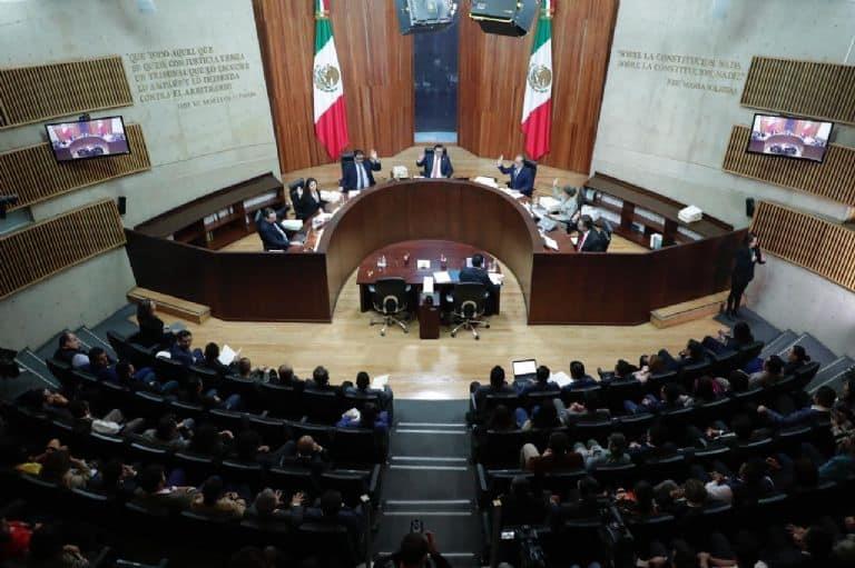 PVEM violó veda, confirma TEPJF