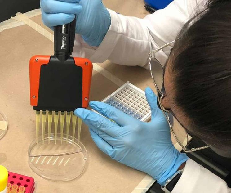 Identifica toxina en leche materna y fórmulas lácteas