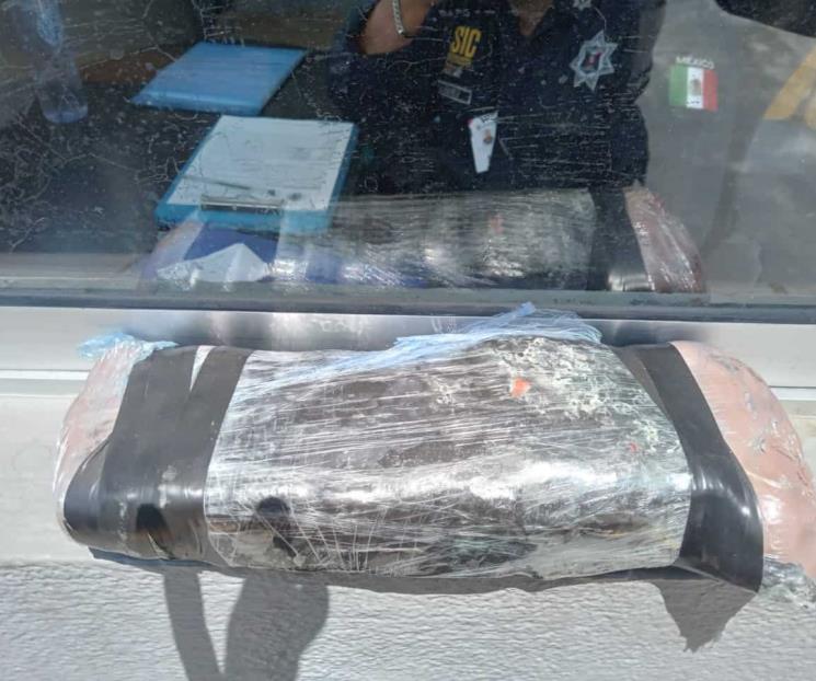 Aseguran droga al interior de autobús en Escobedo