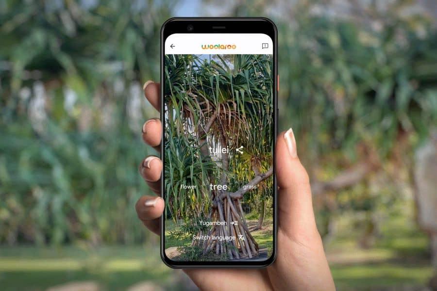 IA, al rescate de lenguas indígenas en extinción
