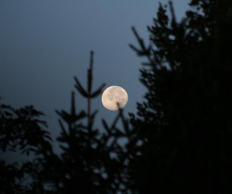 Luna de Ciervo, cuándo y dónde verla