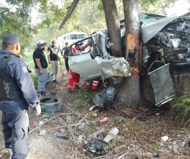 Detiene árbol vida de conductor