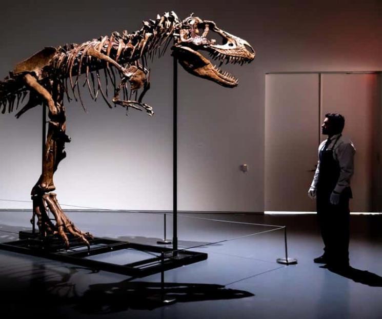 Subastarán dinosaurio de hace 76 millones de años Subastarán dinosaurio de hace 76 millones de años