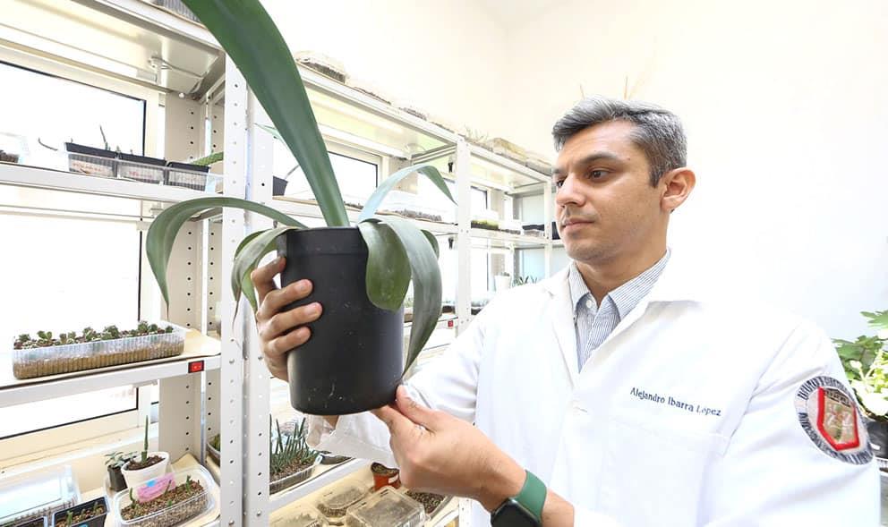 Promueve UANL verano científico