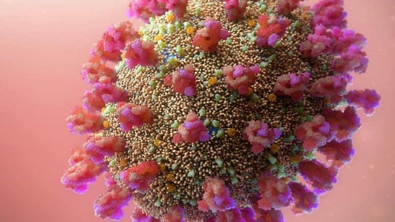 Reportan primeras muertes por viruela símica fuera de África Reportan primeras muertes por viruela símica fuera de África