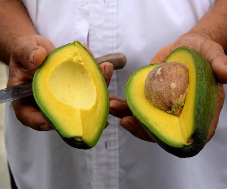 Padecimientos que ayuda a aliviar el aguacate