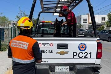 Muere mujer ahogada en alberca