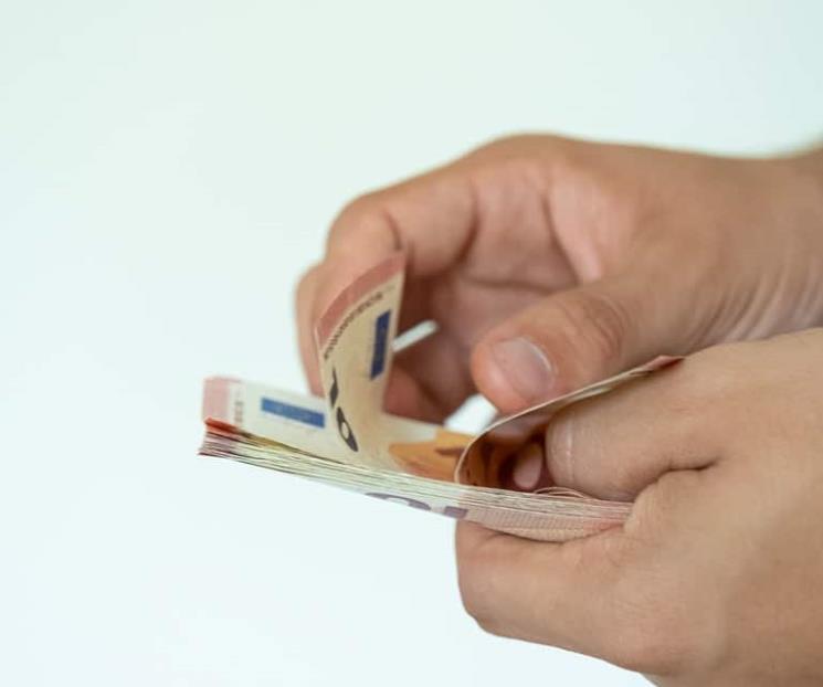 Cae ingreso per cápita de familias en países OCDE