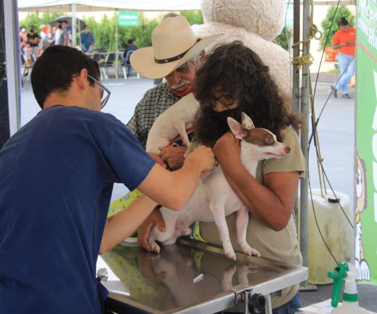Se preocupa Apodaca por bienestar animal