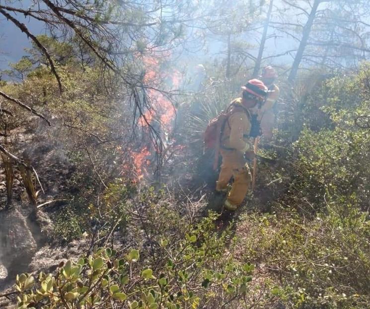 Frena PC incendio en Rayones