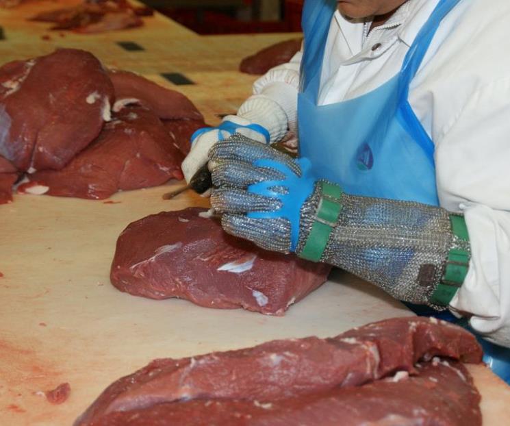 Se hunde en julio creación de empleos formales