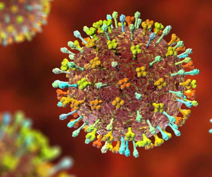 Reportan nuevo virus de origen animal en China