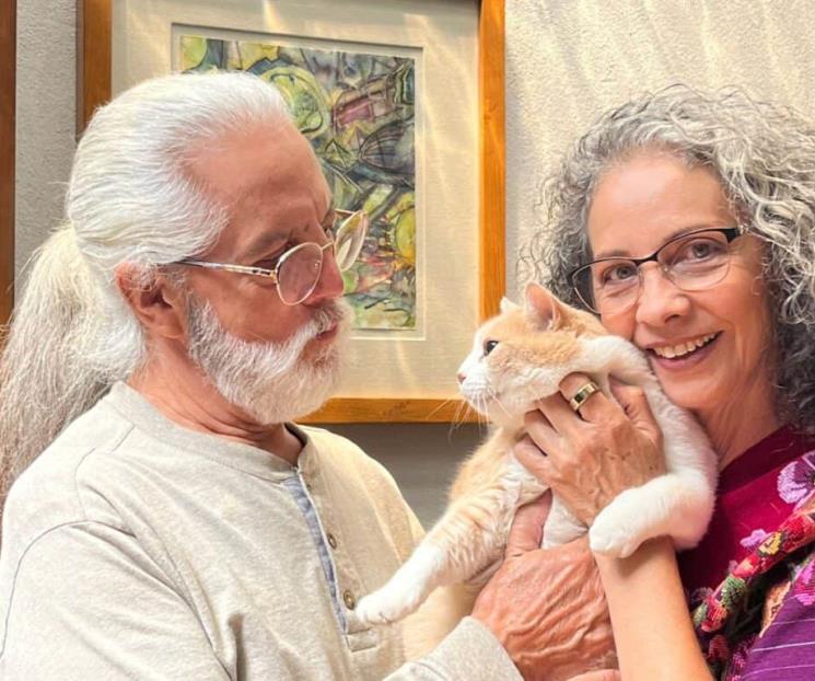 Brindan conciertos a favor de gatos en Querétaro
