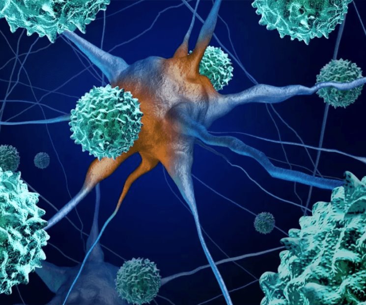 Detectan virus de la polio en Nueva York