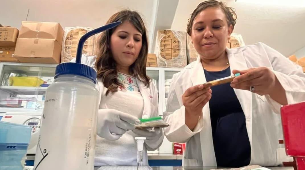 Mujeres investigadoras trabajan en turbosina renovable