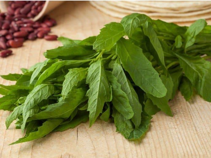 El epazote no es tan sano en exceso