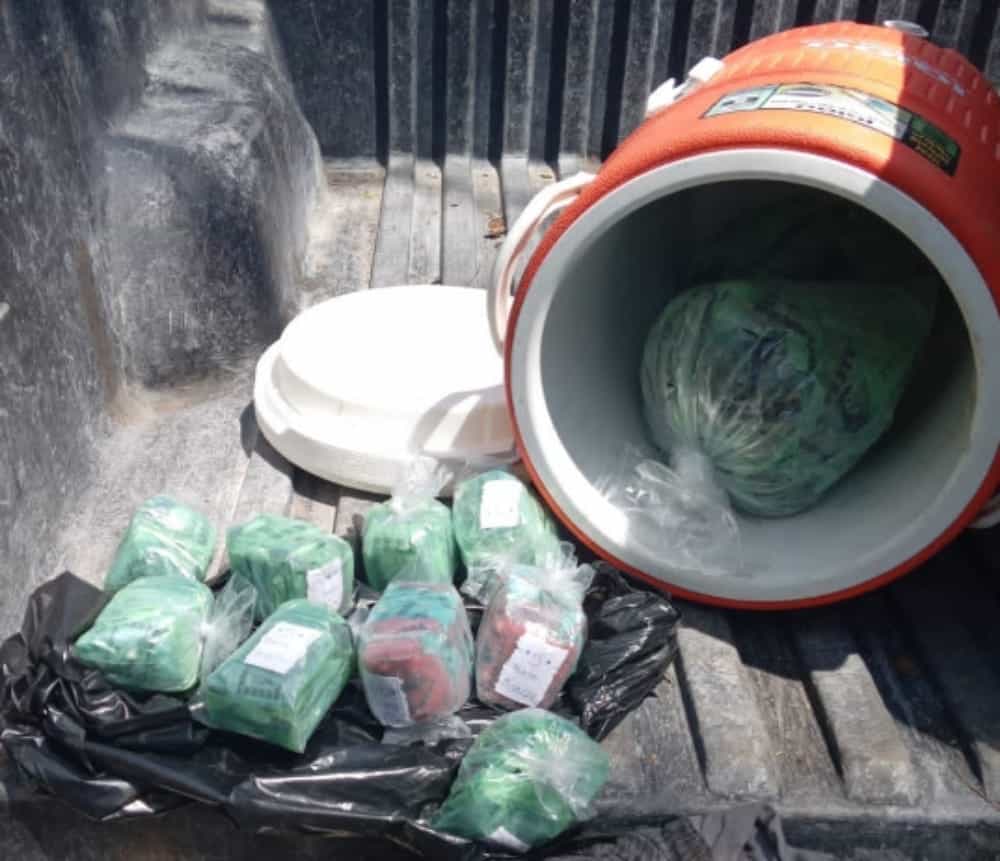 Arrestan a un hombre que llevaba dos hieleras con cocaína, cristal y marihuana