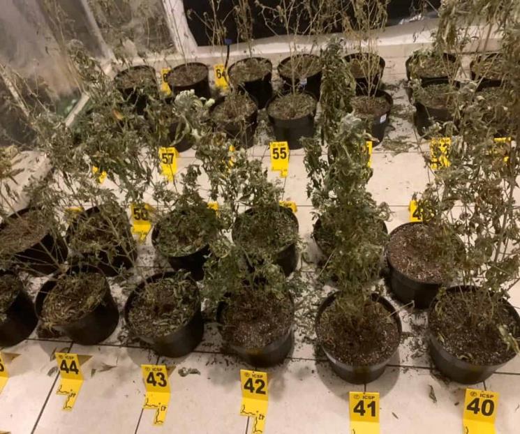 Aseguran droga, equipo táctico y armas tras cateo