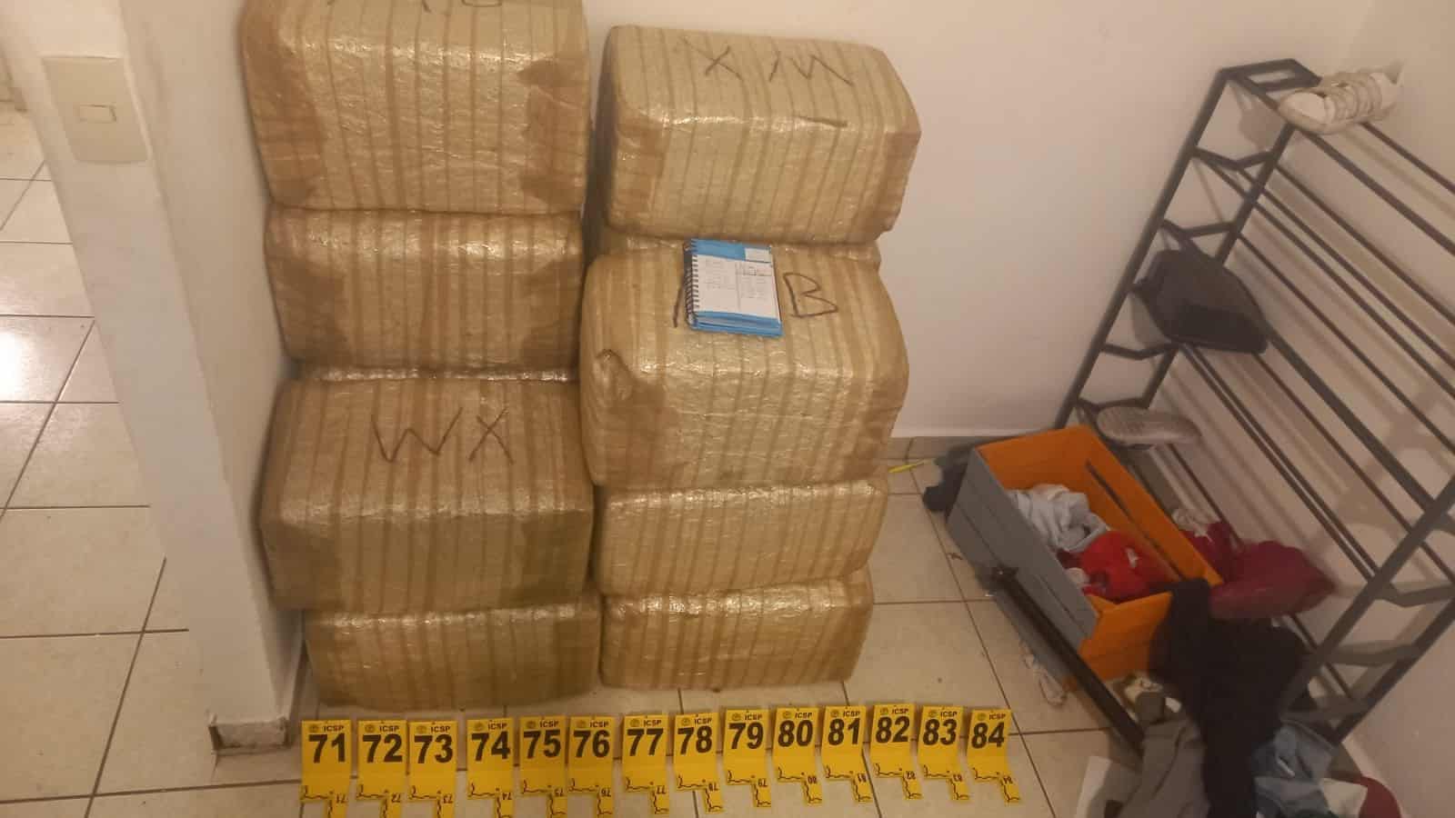 Un invernadero de marihuana, así como un arma de fuego, más de 400 cartuchos hábiles, y esquipo táctico, fue lo que se aseguró en un domicilio cateado