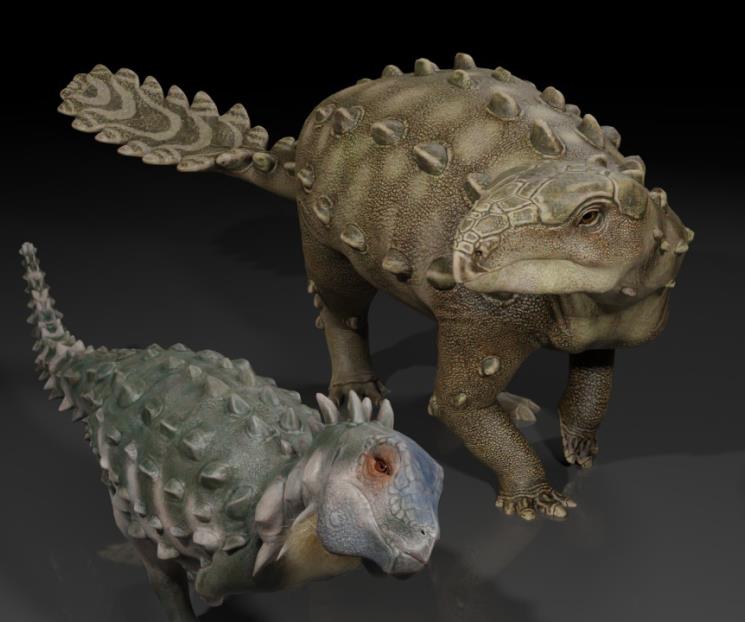 Hallan fósil de dinosaurio de hace 100 millones de años Hallan fósil de dinosaurio de hace 100 millones de años