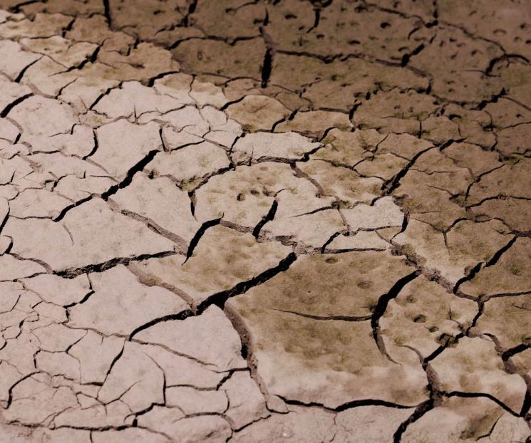 Declara China alerta ámbar por la sequía Declara China alerta ámbar por la sequía