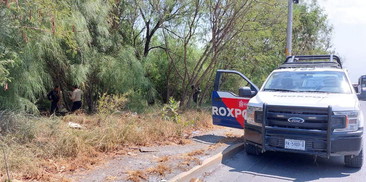 Cuando se encontraba cazando pájaros, un hombre localizo el cadáver de una persona en avanzado estado de descomposición