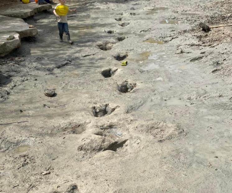 Sequía deja al descubierto huellas de dinosaurios en Texas