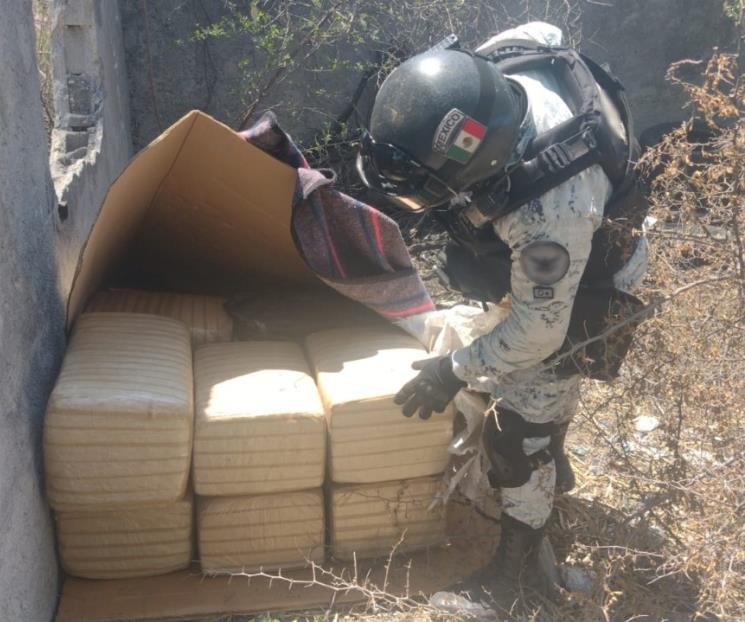 Aseguran 100 kg de droga