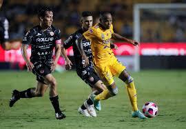 Es Necaxa rival a ‘modo’ para Tigres en el Uni