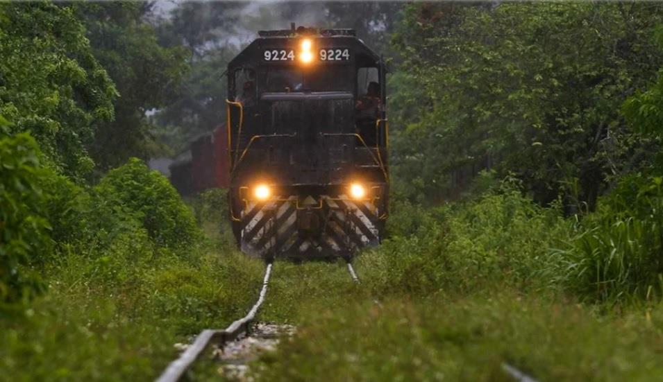 Buscan expropiar terrenos en Solidaridad y Tulum