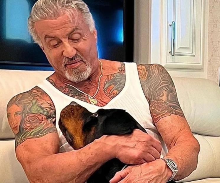 Niega Stallone que un perro sea su causa de divorcio