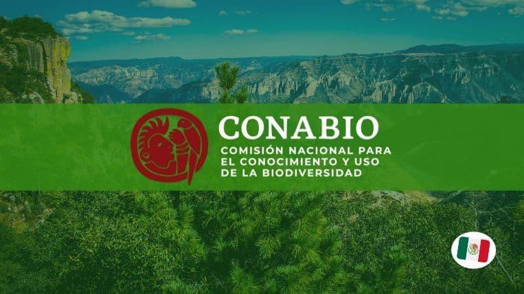 Qué es la Conabio Qué es la Conabio