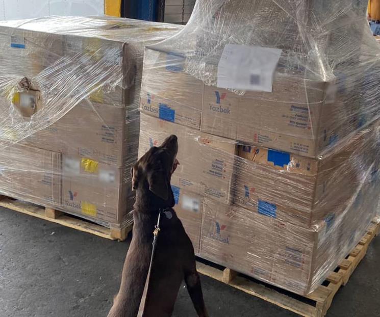 Incauta Guardia Nacional 240 kilos de droga en San Nicolás