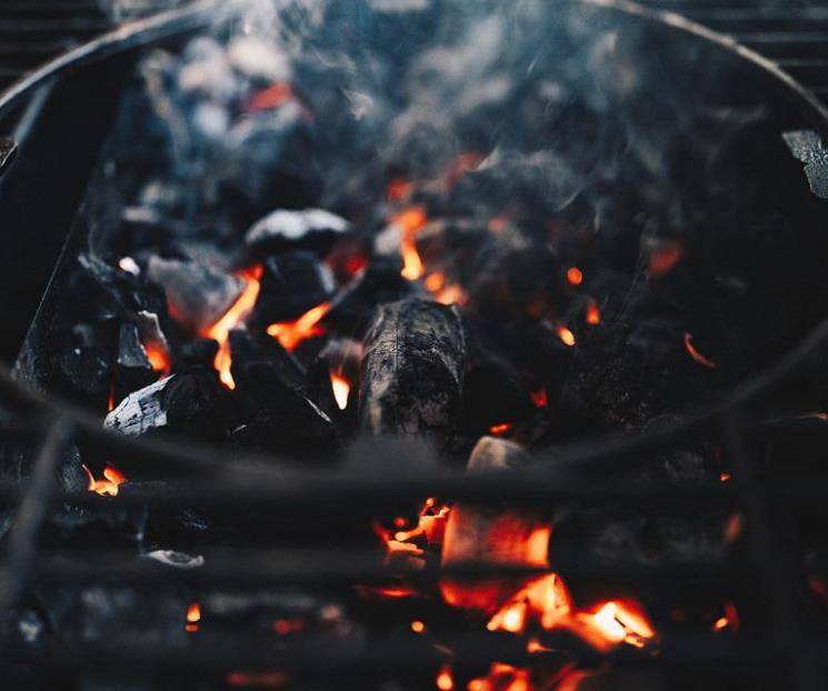 Domina el arte del asado