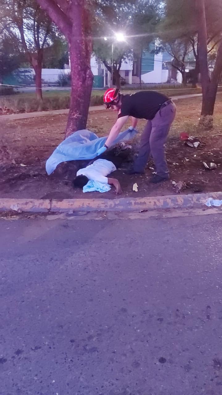 El conductor de una moto falleció y su acompañante resultó lesionada luego de estrellarse contra un árbol
