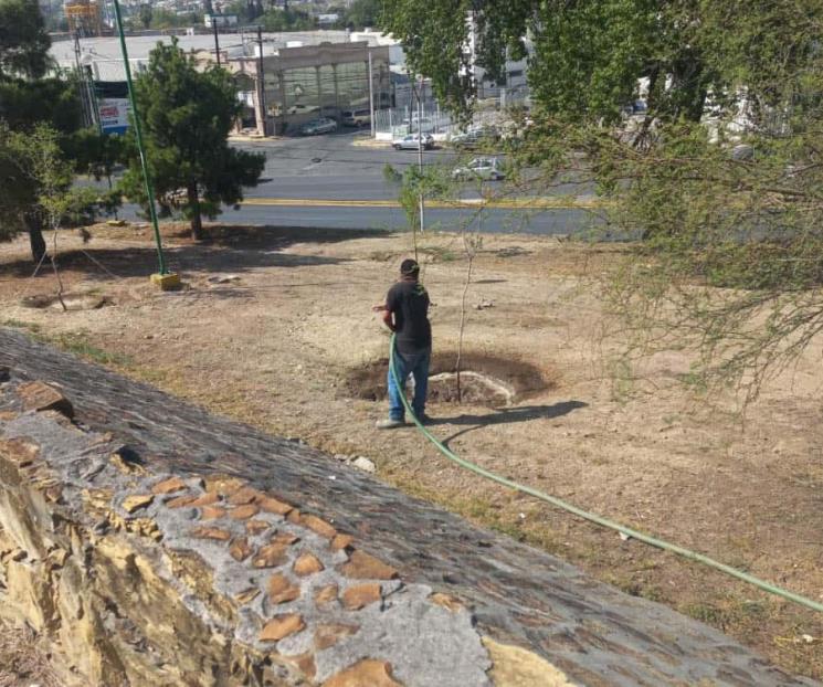 Aportará Canadevi agua tratada para riego de plazas regias