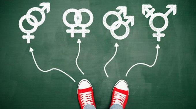 De ‘homo sapiens’ a ‘homo stupidus’