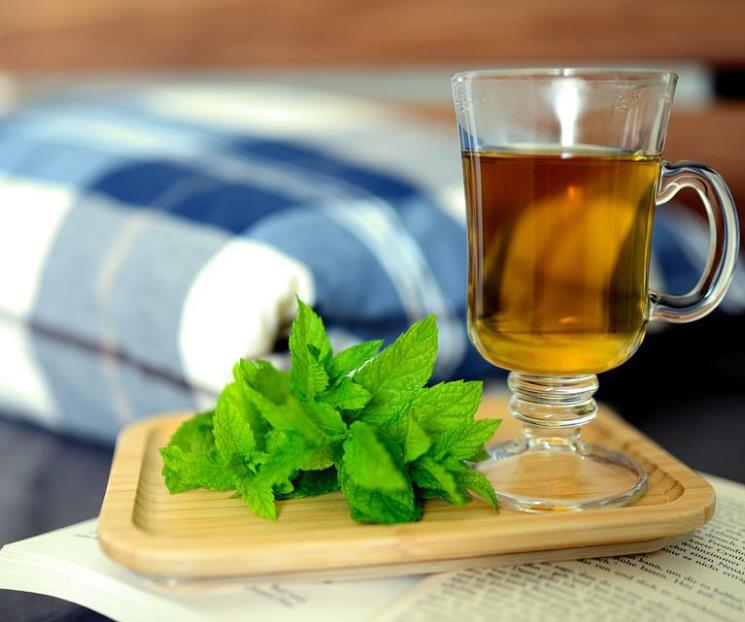 Apuestan por herbolaria y medicina tradicional