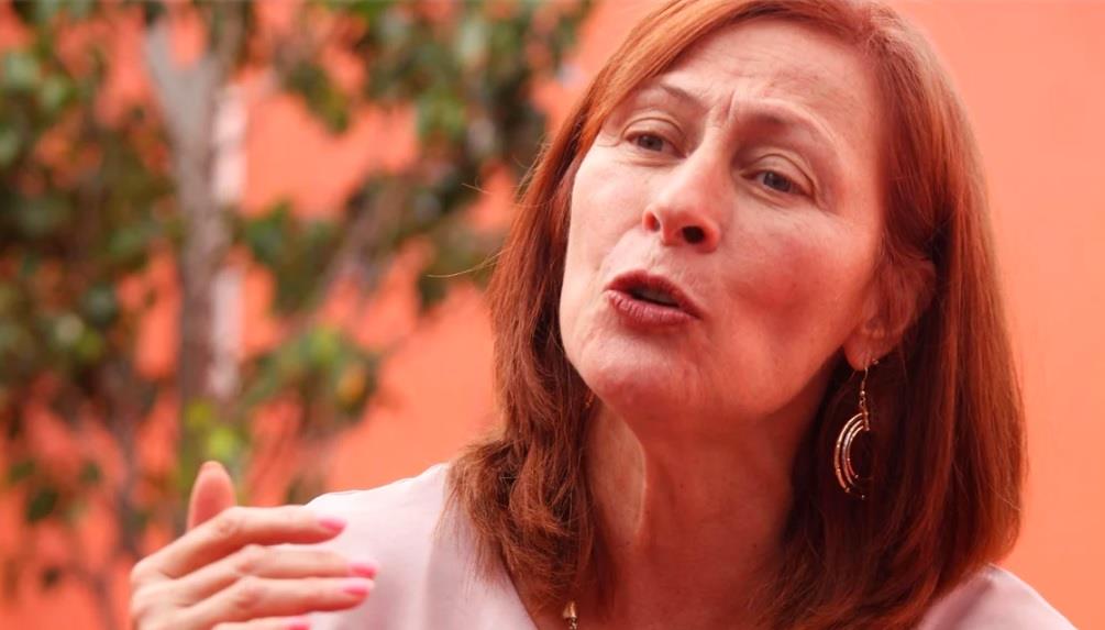 En conflictos comerciales de T-MEC hay que esperar: SE