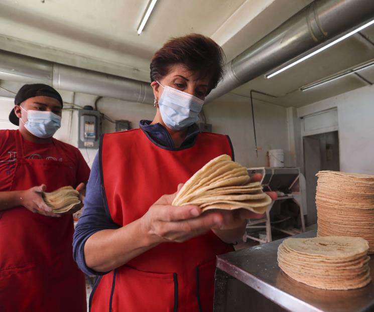 Pedirá SHCP justificar aumento en tortillas