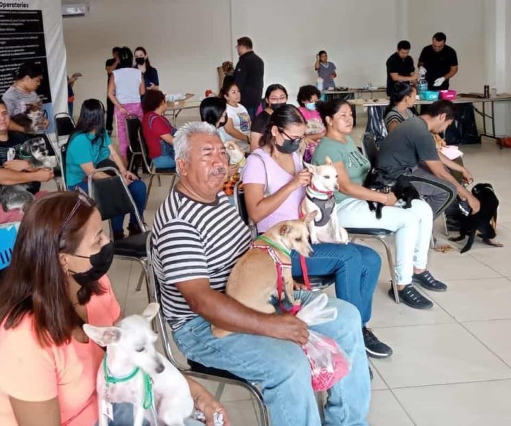 Esteriliza Apodaca más de 400 animales de compañía