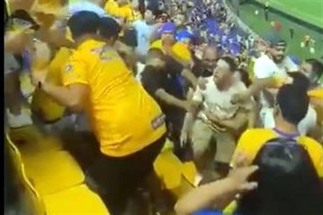 Tigre ataca a otros tigres