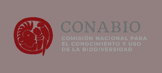 Académicos están preocupados por nuevo secretario de Conabio